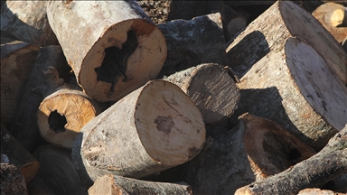 Ormanlar kaçak ağaç kesimine karşı teknolojik imkanlarla 7 gün 24 saat korunuyor