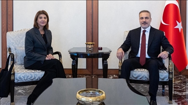 Turkish foreign minister meets with UN chief's personal envoy on Cyprus