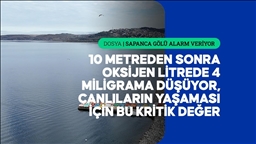 Sapanca Gölü'ndeki kuraklık suyun sadece miktarını değil kalitesini de düşürüyor
