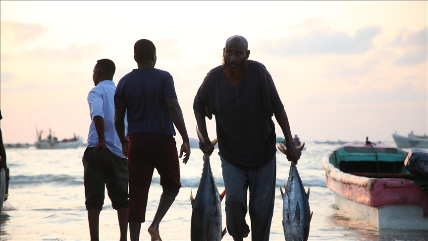 Experts say fisheries agreement with Türkiye to contribute to Somalia’s development