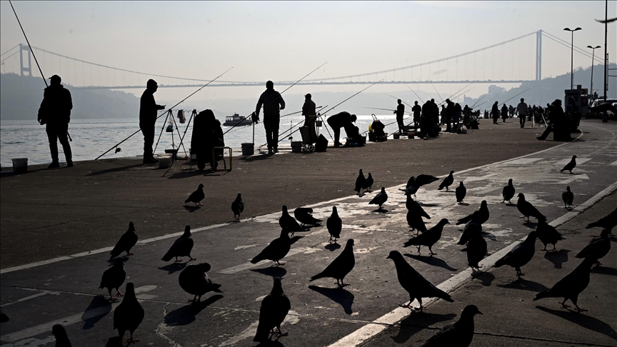 Türkiye could attract up to $30B in investments per year: Sector representative