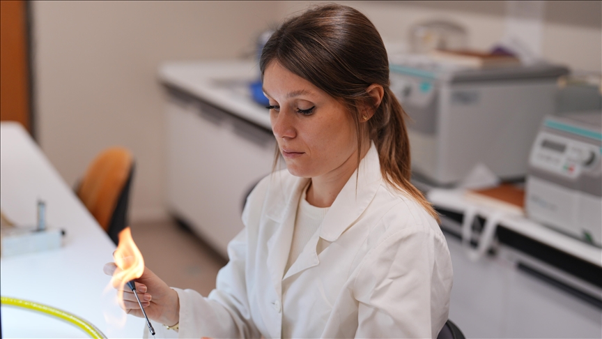 Türk bilim insanları kıyı korozyonu risklerini yapay zekayla belirleyecek