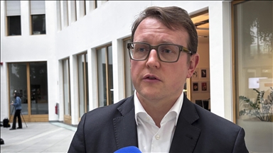 Alman uzmana göre, AfD’nin yeni gençlik teşkilatı, partinin ırkçılara daha yaklaşması anlamına geliyor