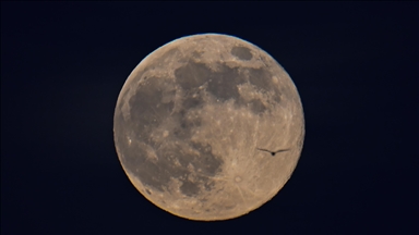 Trump firma una orden ejecutiva cuyos planes incluye regresar a la Luna para 2028