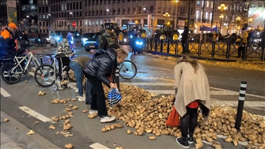 Brüksel'de çiftçilerin protesto için yollara döktüğü patatesleri bazı vatandaşlar topladı