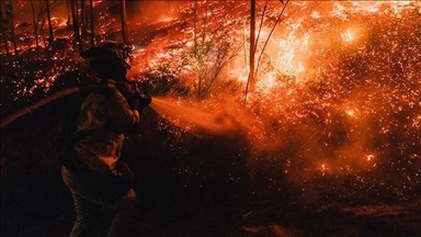 امسال بیش از 350 هزار هکتار از جنگل‌های اسپانیا در آتش سوخته است