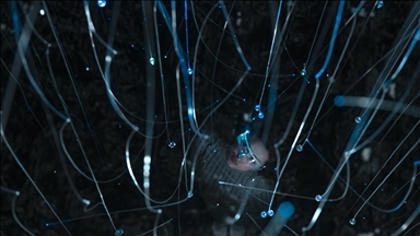 Milli Teknoloji Hamlesi: Türkiye dijital altyapısını nasıl güçlendiriyor?