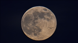 Trump firma una orden ejecutiva cuyos planes incluye regresar a la Luna para 2028