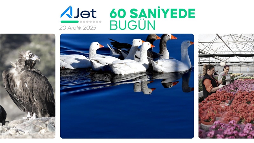 60 saniyede bugün (20 Aralık 2025)