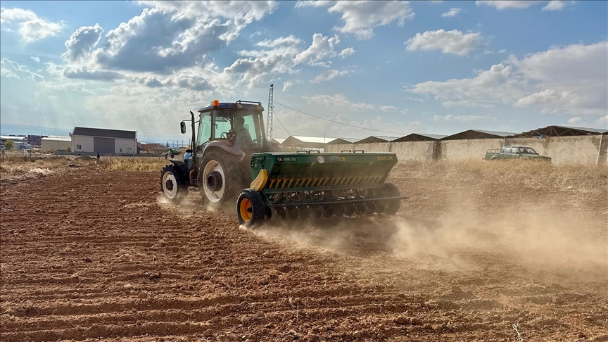 Bozkırda kuraklığa dayanıklı 25 çeşit yerli ürünün demonstrasyon ekimi yapıldı