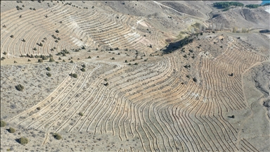 Li rojhilatê Anadoluyê 9 milyon şitil û toxim li erdê hatin çandin