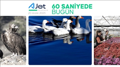 60 saniyede bugün (20 Aralık 2025)