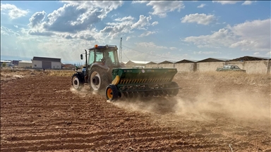 Bozkırda kuraklığa dayanıklı 25 çeşit yerli ürünün demonstrasyon ekimi yapıldı