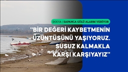 Sapanca Gölü'yle yaşam bulan kıyı yerleşimi Eşme'de susuz gelecek endişesi