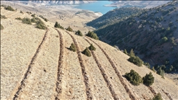 Doğu'da 9 milyon tohum ve fidan toprakla buluşturuldu