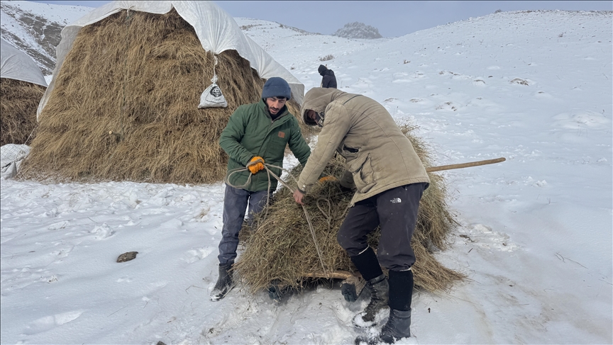 Li Hekariyê ajaldar ji bo heywanên xwe li hemberî berf û sermayê ra têdikoşin