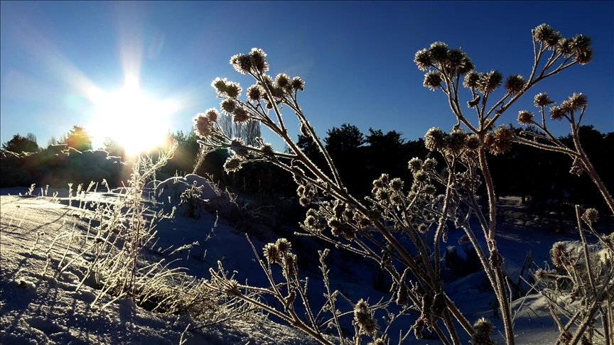 Li Qers û Erdexanê sir û seqem dewam dike