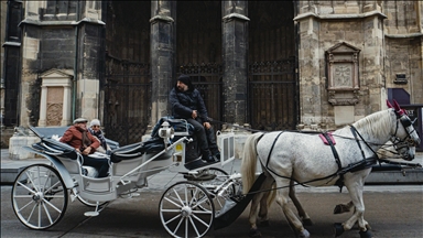 Виена – град на империјална историја, култура и современ европски дух