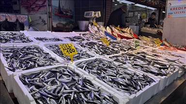 Trabzon'da hamsi ve istavrit 100 liradan satılıyor