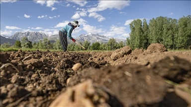 IPARD-III kapsamında 156 yerel eylem grubuna 2,2 milyar lira hibe desteği verilecek