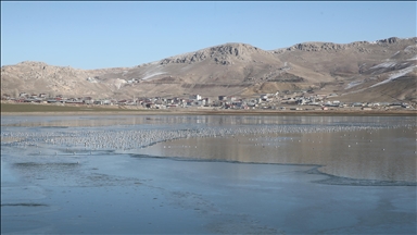 Qismekî rûyê Gola Sihkeyê ya li Wanê cemed girt