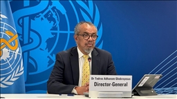 WHO chief warns progress against famine remains 'extremely fragile' in Gaza