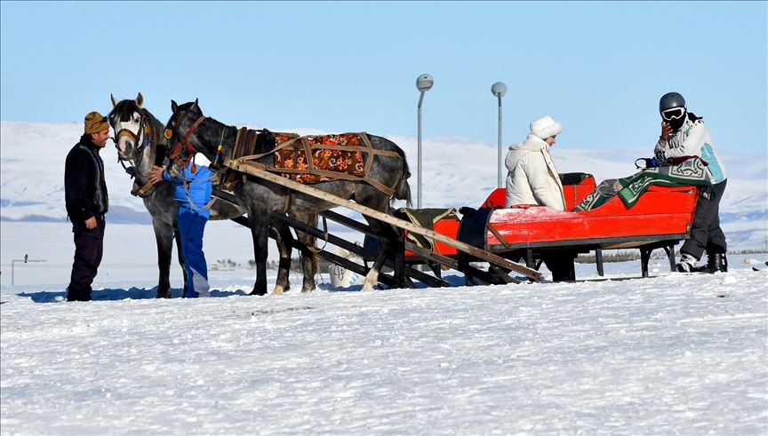 Li Navenda Xweşiqitandinê ya Sariqamîşê xwediyên xizangên hespan dest bi karê xwe kir