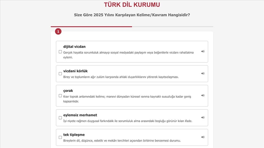 "2025 Yılının Kelimesi/Kavramı"nda 5 kelime halk oylamasına açıldı