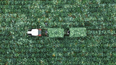 TZOB Genel Başkanı Bayraktar: Çiftçi Kayıt Sistemi'ne başvurmak için son tarih 31 Aralık