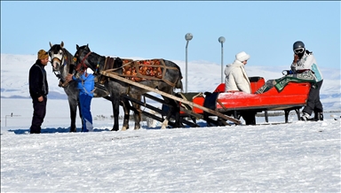 Li Navenda Xweşiqitandinê ya Sariqamîşê xwediyên xizangên hespan dest bi karê xwe kir