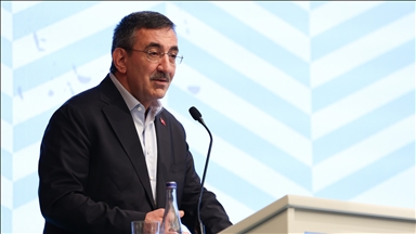 Турция и Азербайджан обсудят развитие экономического сотрудничества