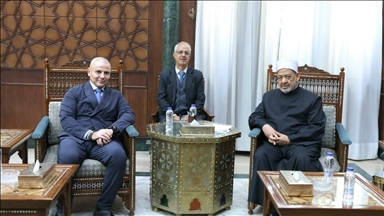 شيخ الأزهر: القضية الفلسطينية بلغت حدا خطيرا من الظلم لا يقبل الحياد