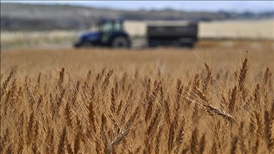 Tarımsal girdi fiyat endeksi ekimde yıllık yüzde 33,66, aylık yüzde 2,04 arttı