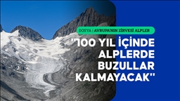 Alpler, buzullarını kaybediyor