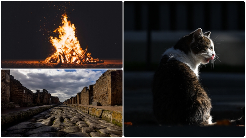 Dünya genelinde 2025'teki arkeolojik bulgular, insanlık tarihine ve mirasına ışık tuttu