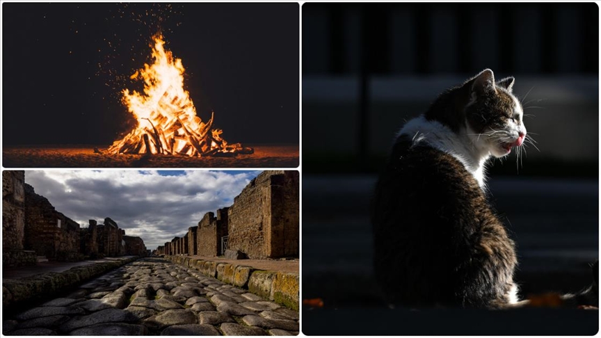 Археологические открытия 2025 года раскрыли новые грани истории и культуры человечества