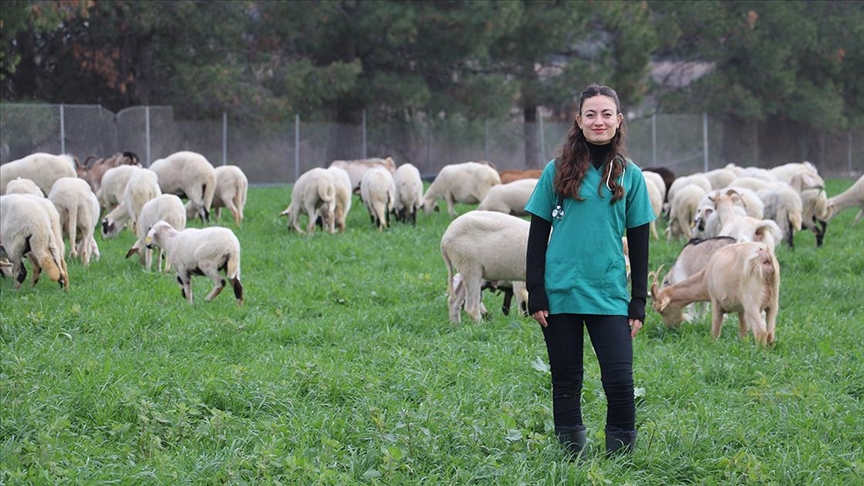 Devlet desteğiyle besiciliğe başlayan veteriner, babasının emanetine de sahip çıkıyor
