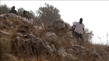 Ilegalni doseljenici povrijedili troje djece, vojska u racijama uhapsila 40 Palestinaca na Zapadnoj obali
