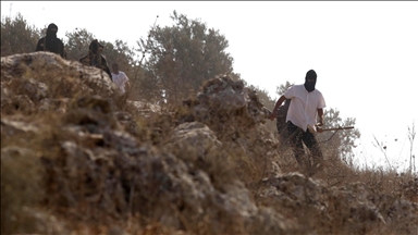 Illegal settlers injure 3 children, army arrests 40 Palestinians in West Bank raids