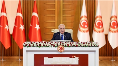 Milli Dayanışma, Kardeşlik ve Demokrasi Komisyonu yarın toplanacak