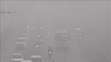 Hindistan'da hava kirliliğinin yol açtığı sis, uçuşlarda aksaklıklara neden oldu