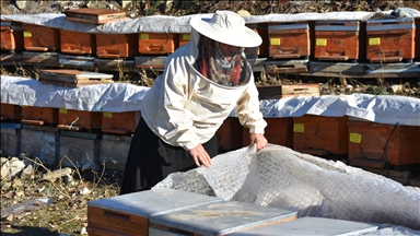 Şırnaklı kadın arıcılık sayesinde 5 çocuğunu üniversitede okuttu