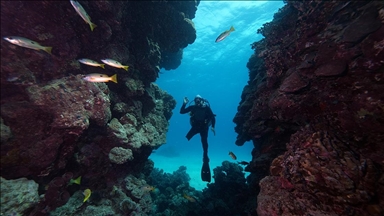 Su altı görüntü yönetmeni Tahsin Ceylan bedensel engelli Özgür Akçı'yla Kızıldeniz'e daldı