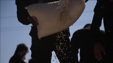 В ходе операции по борьбе с наркотиками в Сирии изъято 162 тысячи таблеток каптагона