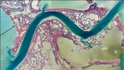 Yumurtalık Lagünü'nde su yüzeyindeki doğal şekiller dikkati çekiyor