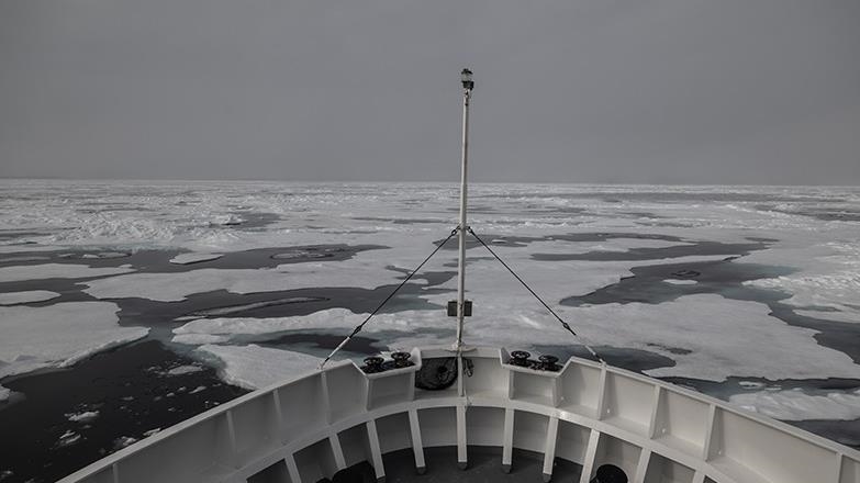 Первый российский СПГ-танкер для Арктики передан заказчику 