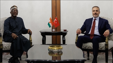 دیدار وزرای امور خارجه ترکیه و نیجر در آنکارا