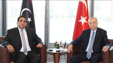 أردوغان يعزي المنفي في وفاة الوفد العسكري الليبي بحادث الطائرة