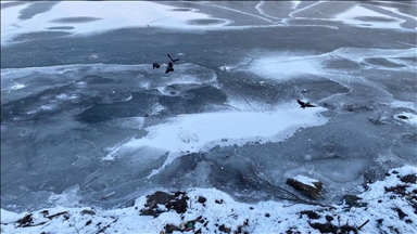 Li Qers û Erdexanê tesîra sermayê dewam dike