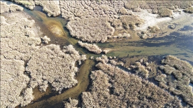 الأمطار تنعش الحياة الطبيعية في بحيرة بافا التركية 